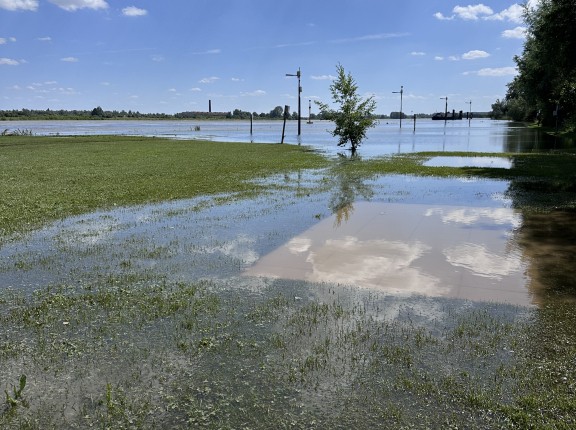 hoogwater 2024
