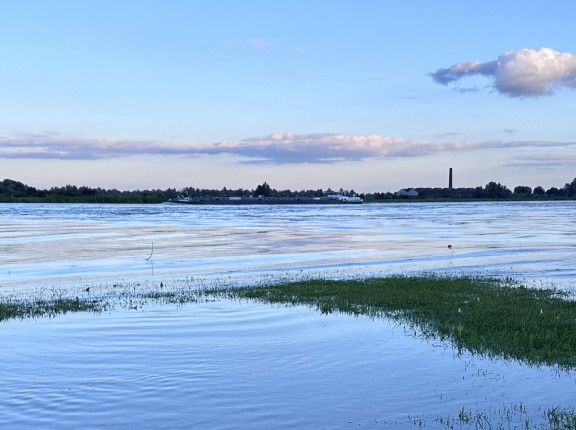 hoogwater 2024
