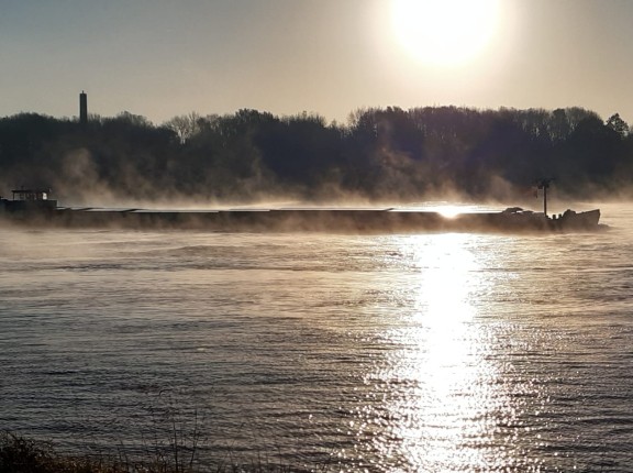 Fotowedstrijd 2025 (2).jpeg