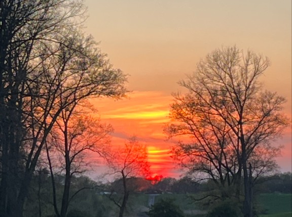 Fotowedstrijd 2025 (5).jpeg