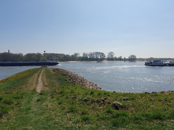 Fotowedstrijd 2025 (6).jpg